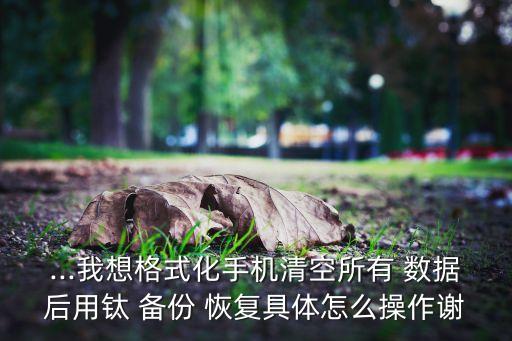 手動恢復(fù)鈦備份數(shù)據(jù),icloud如何恢復(fù)備份數(shù)據(jù)
