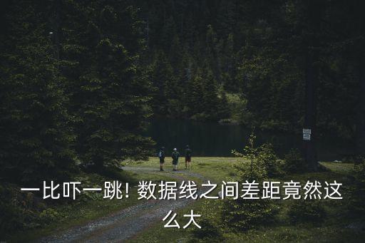一比嚇一跳! 數(shù)據(jù)線之間差距竟然這么大