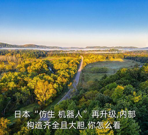 日本會(huì)機(jī)器人,日本機(jī)器人公司排行榜