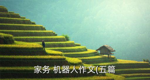 機(jī)器人炒飯