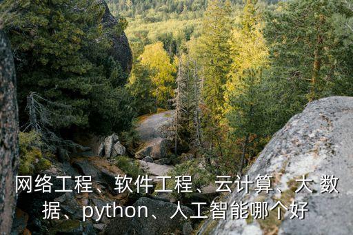 大數據 云服務