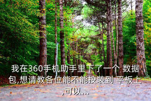 平板怎么改數(shù)據(jù)包,平板英文怎么改中文版