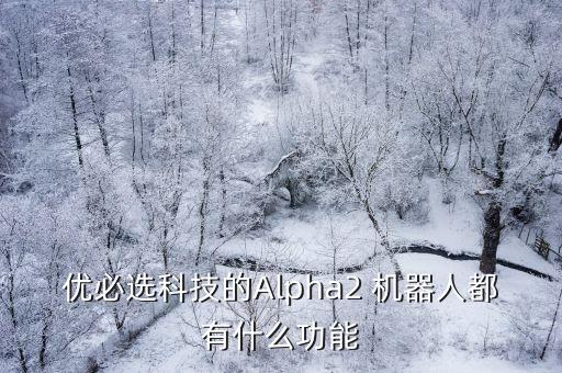 優(yōu)必選科技的Alpha2 機器人都有什么功能