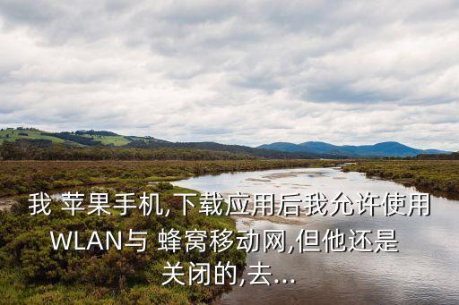 我 蘋果手機,下載應(yīng)用后我允許使用WLAN與 蜂窩移動網(wǎng),但他還是 關(guān)閉的,去...