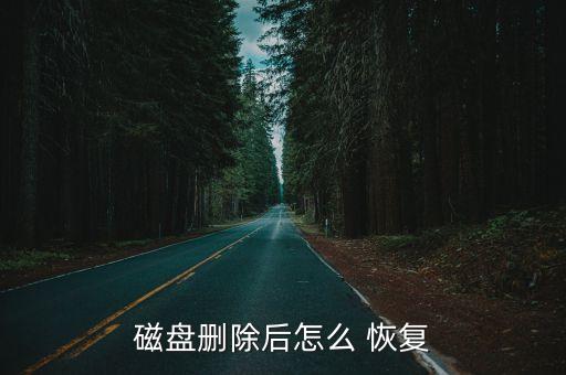 分區(qū)表更改數(shù)據(jù)恢復(fù),diskgenius更改分區(qū)表類型