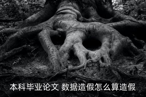 本科畢業(yè)論文 數(shù)據(jù)造假怎么算造假