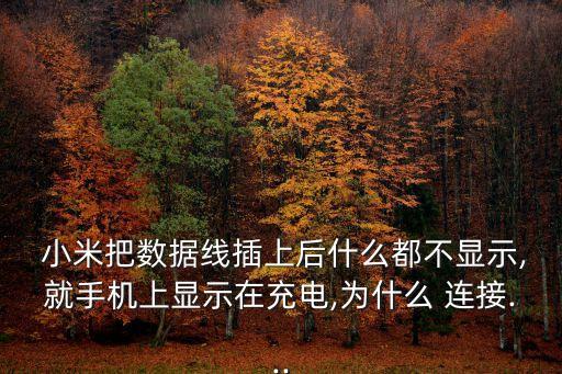  小米把數據線插上后什么都不顯示,就手機上顯示在充電,為什么 連接...