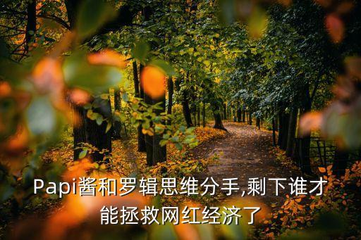 Papi醬和羅輯思維分手,剩下誰才能拯救網(wǎng)紅經(jīng)濟(jì)了