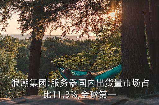  浪潮集團:服務(wù)器國內(nèi)出貨量市場占比11.3%,全球第一