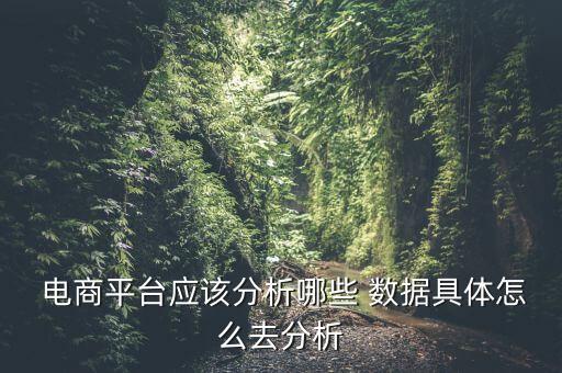  電商平臺應(yīng)該分析哪些 數(shù)據(jù)具體怎么去分析