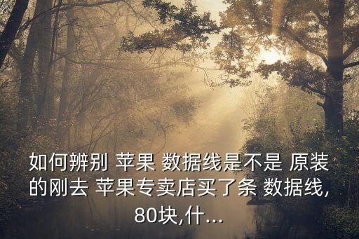 蘋果數(shù)據(jù)線原裝包裝盒