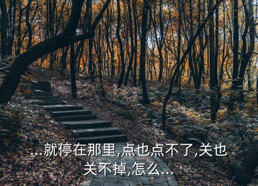 ...就停在那里,點也點不了,關也關不掉,怎么...