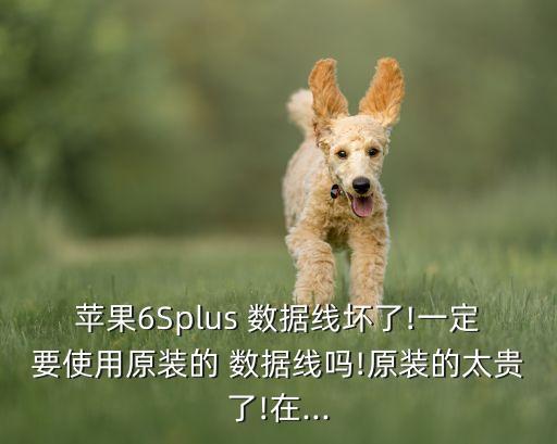蘋果6Splus 數(shù)據(jù)線壞了!一定要使用原裝的 數(shù)據(jù)線嗎!原裝的太貴了!在...