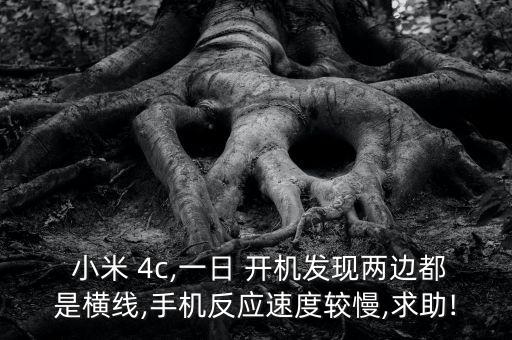 小米4c開機(jī)顯示數(shù)據(jù)線