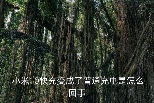 小米高速充數(shù)據(jù)線手機(jī),小米數(shù)據(jù)線能充OPPO手機(jī)嗎?
