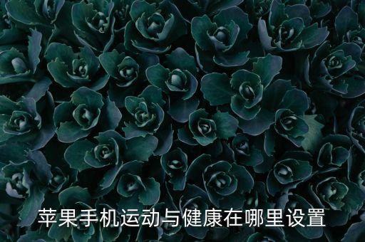 蘋果手機運動與健康在哪里設置