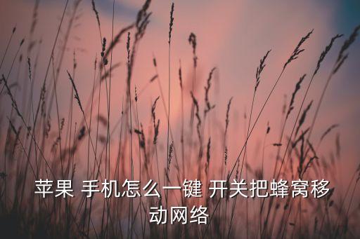 蘋果 手機(jī)怎么一鍵 開關(guān)把蜂窩移動(dòng)網(wǎng)絡(luò)