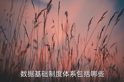  數(shù)據(jù)基礎(chǔ)制度體系包括哪些