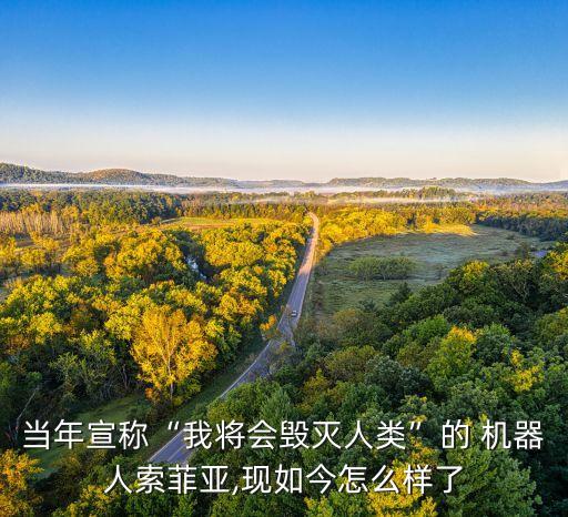 當(dāng)年宣稱“我將會(huì)毀滅人類”的 機(jī)器人索菲亞,現(xiàn)如今怎么樣了