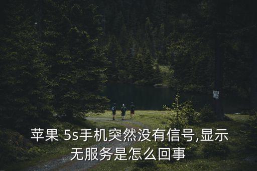  蘋果 5s手機突然沒有信號,顯示無服務(wù)是怎么回事