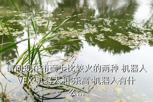請問現(xiàn)在市面上比較火的兩種 機器人VEX 機器人和 樂高 機器人有什么...