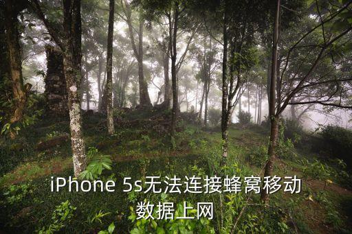 iPhone 5s無法連接蜂窩移動數(shù)據(jù)上網(wǎng)