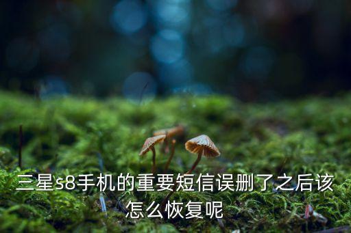 三星s8手機(jī)的重要短信誤刪了之后該怎么恢復(fù)呢