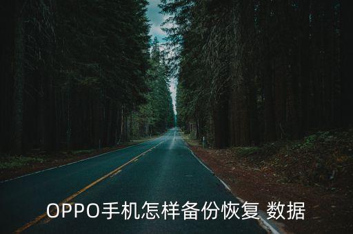 OPPO手機怎樣備份恢復(fù) 數(shù)據(jù)