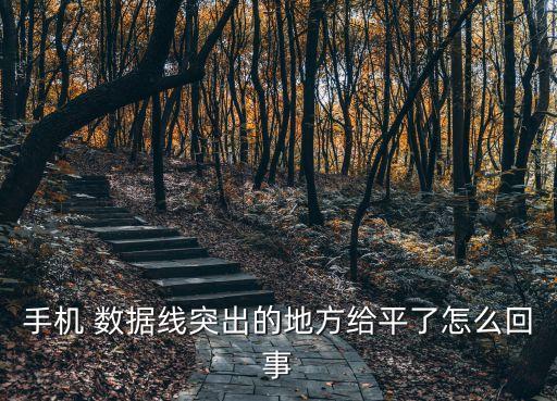 手機(jī) 數(shù)據(jù)線突出的地方給平了怎么回事