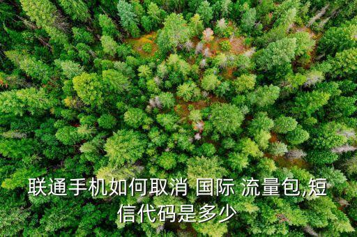如何關(guān)閉國際數(shù)據(jù)流量,為什么關(guān)閉數(shù)據(jù)了還在扣流量