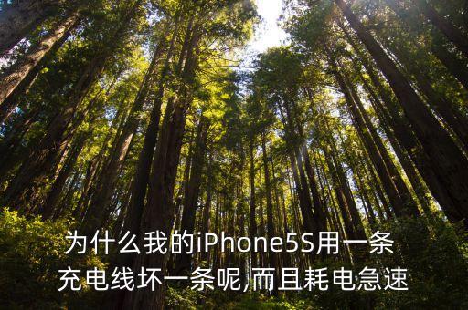 5s非原裝數(shù)據(jù)線(xiàn)充電耗電量快,非原裝數(shù)據(jù)線(xiàn)怎么充電