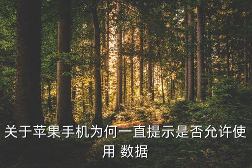 關(guān)于蘋果手機(jī)為何一直提示是否允許使用 數(shù)據(jù)
