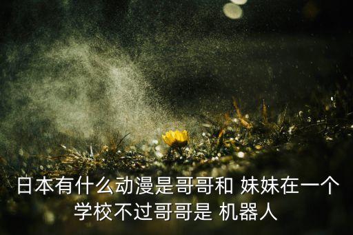 日本有什么動(dòng)漫是哥哥和 妹妹在一個(gè)學(xué)校不過(guò)哥哥是 機(jī)器人