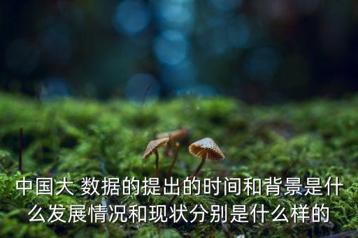 中國(guó)大 數(shù)據(jù)的提出的時(shí)間和背景是什么發(fā)展情況和現(xiàn)狀分別是什么樣的