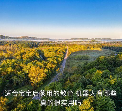 米兔機(jī)器人零件長(zhǎng)度,米兔積木機(jī)器人零件表