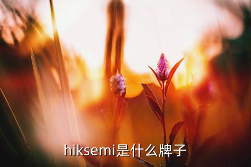 數(shù)據(jù)存儲(chǔ)解決方案品牌,FPGA數(shù)據(jù)存儲(chǔ)解決方案