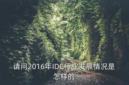 請問2016年IDC行業(yè)發(fā)展情況是怎樣的