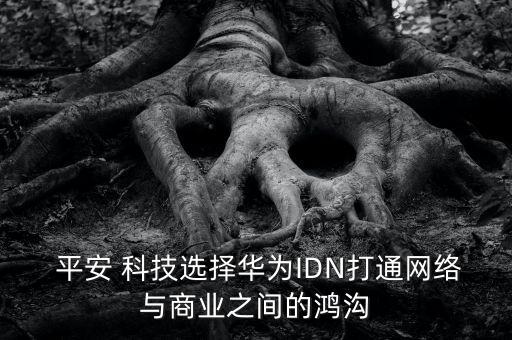  平安 科技選擇華為IDN打通網(wǎng)絡(luò)與商業(yè)之間的鴻溝