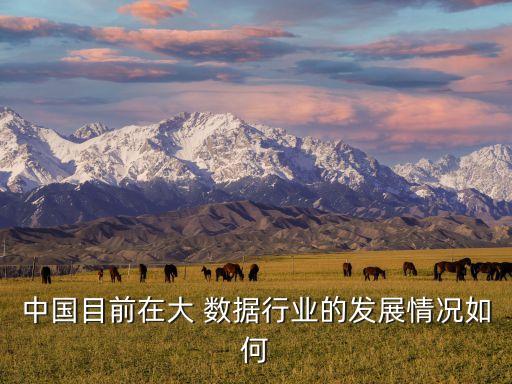 大數(shù)據(jù)公司業(yè)務,數(shù)據(jù)公司業(yè)務外包聯(lián)系方式有哪些