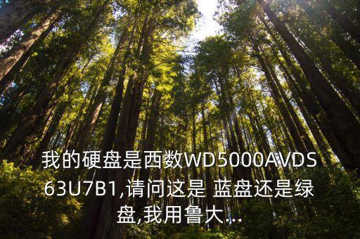 我的硬盤是西數(shù)WD5000AVDS63U7B1,請問這是 藍(lán)盤還是綠盤,我用魯大...