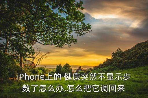iPhone上的 健康突然不顯示步數(shù)了怎么辦,怎么把它調(diào)回來
