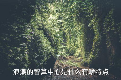  浪潮的智算中心是什么有啥特點