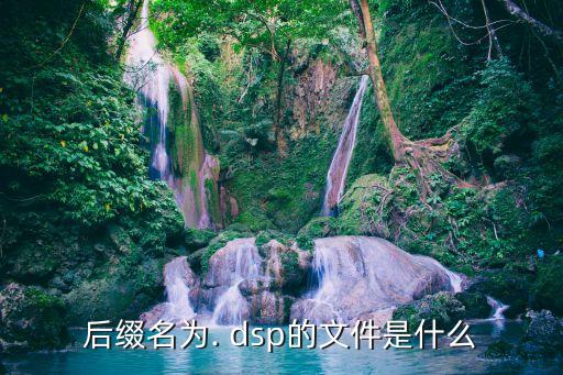 后綴名為. dsp的文件是什么