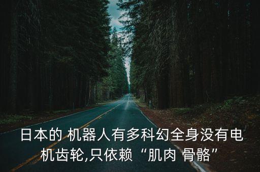 日本機(jī)器人發(fā)達(dá)嗎