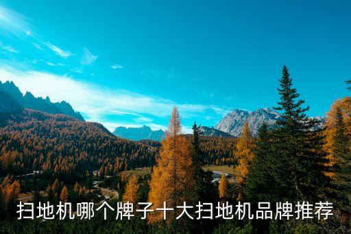 深圳市機器人哪家強,人形機器人哪家強?