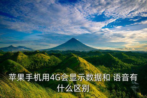 蘋果手機用4G會顯示數(shù)據(jù)和 語音有什么區(qū)別