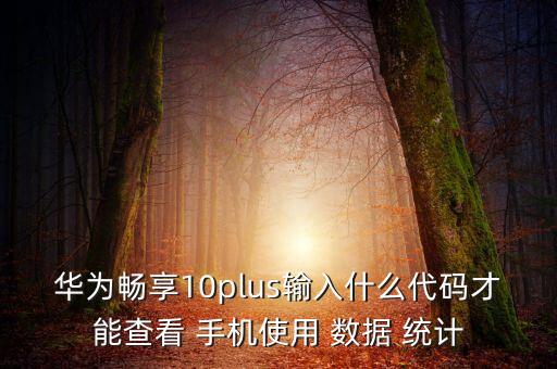 華為暢享10plus輸入什么代碼才能查看 手機使用 數(shù)據(jù) 統(tǒng)計
