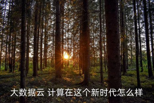 云計(jì)算數(shù)據(jù)中心的特征