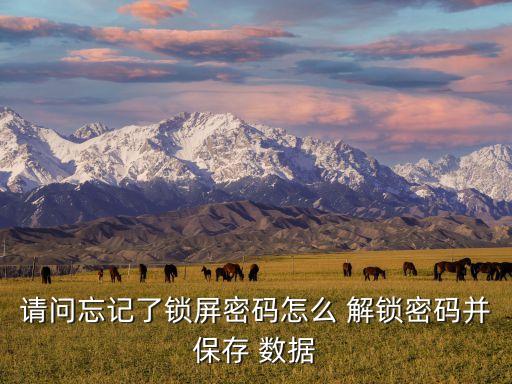 請問忘記了鎖屏密碼怎么 解鎖密碼并保存 數(shù)據(jù)