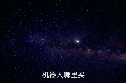  機器人哪里買